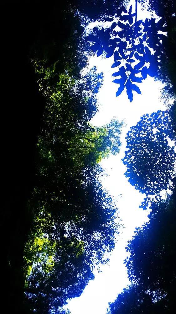 组装机械警暴龙