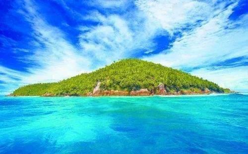 萌宠大连接