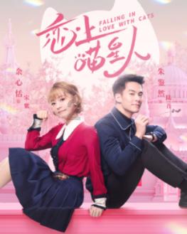 为什么中国移动天天打电话让客户换套餐？来看看这里面的“猫腻”