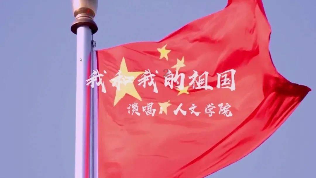 漂亮鹦鹉救援