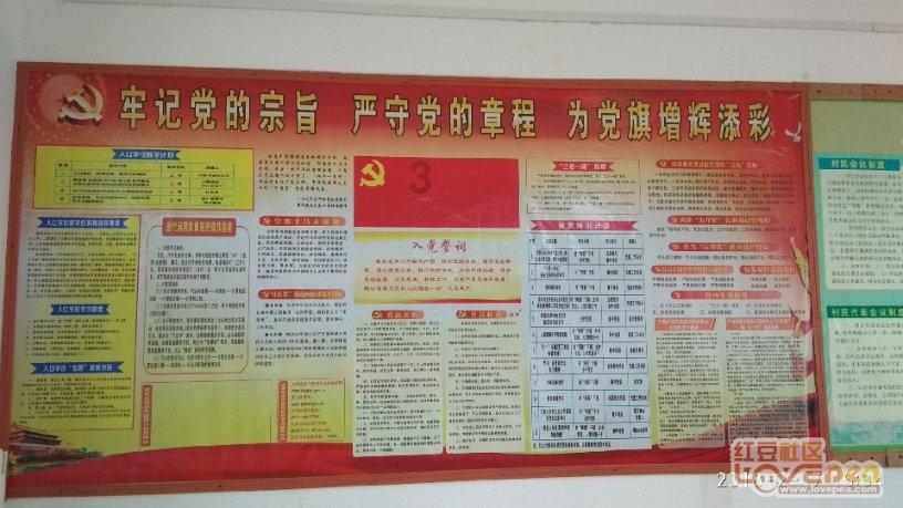 寻找神秘黄金